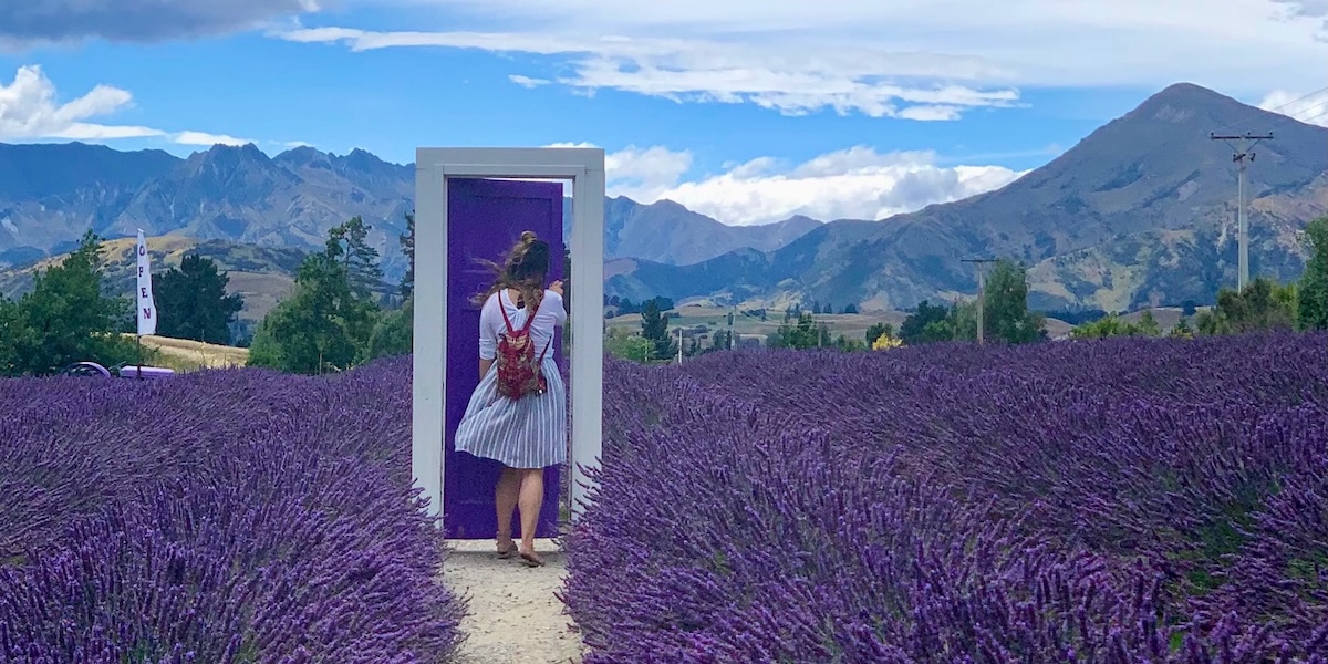 New Zealand Alpine Lavender Farm